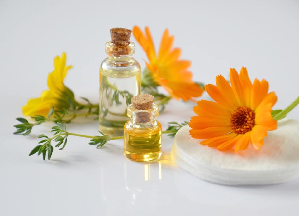Giardino officinale Sprea aromaterapia