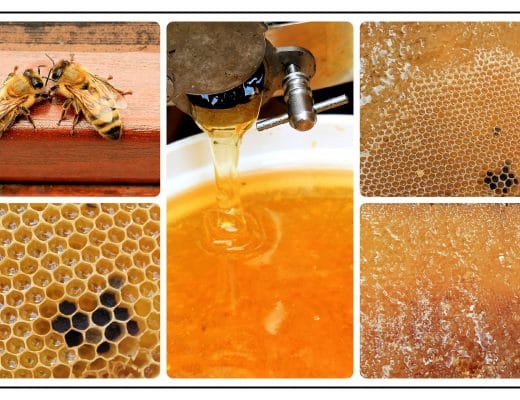 Proprietà e benefici del miele