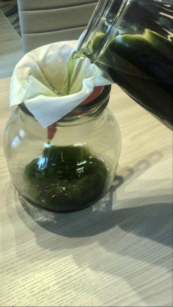 Ricetta Liquore Digestivo Erba Luigia Fatto In Casa