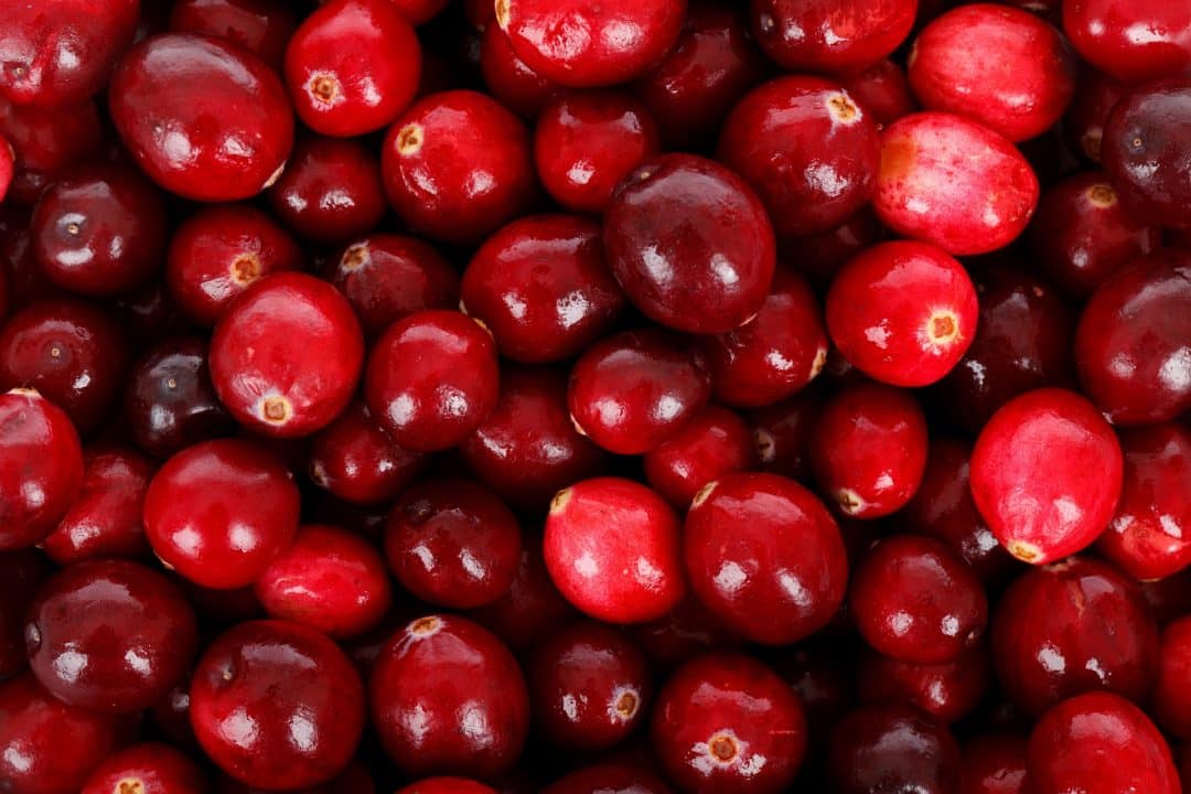 Cranberry Mirtillo Rosso per cistite e vie urinarie