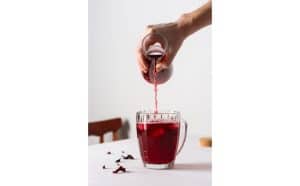 preparare tisana fredda mirtillo 