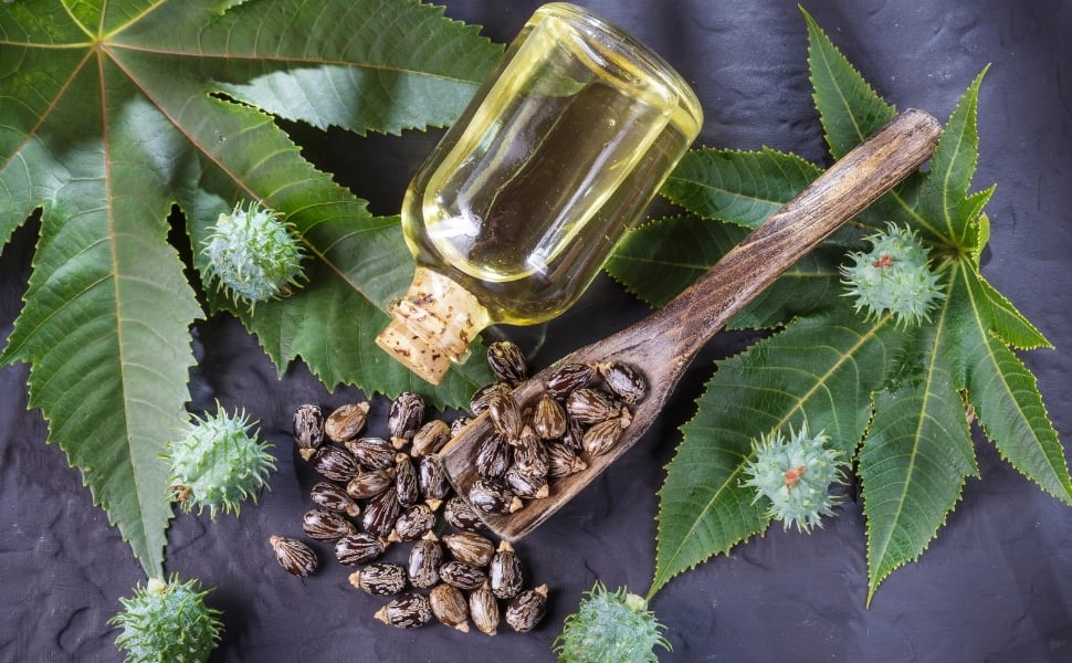 olio di ricino