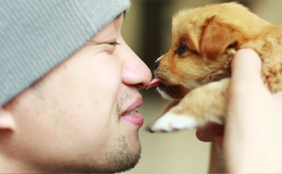 prodotti, giochi e cibo per cani e gatti sostenibili