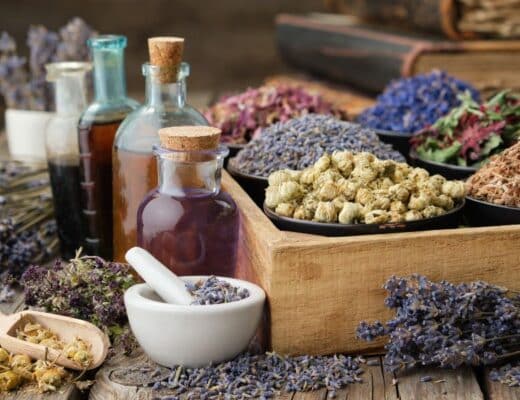 Rimedi erboristici con erbe officinali