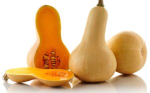 zucca butternut o zucca violina
