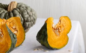 zucca marina Chioggia