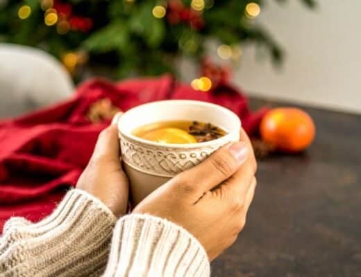 bevande calde invernali alcoliche o analcoliche