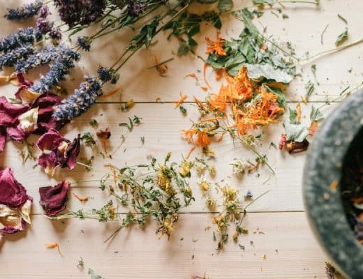 che tisane bere per ciclo mestruale e menopausa