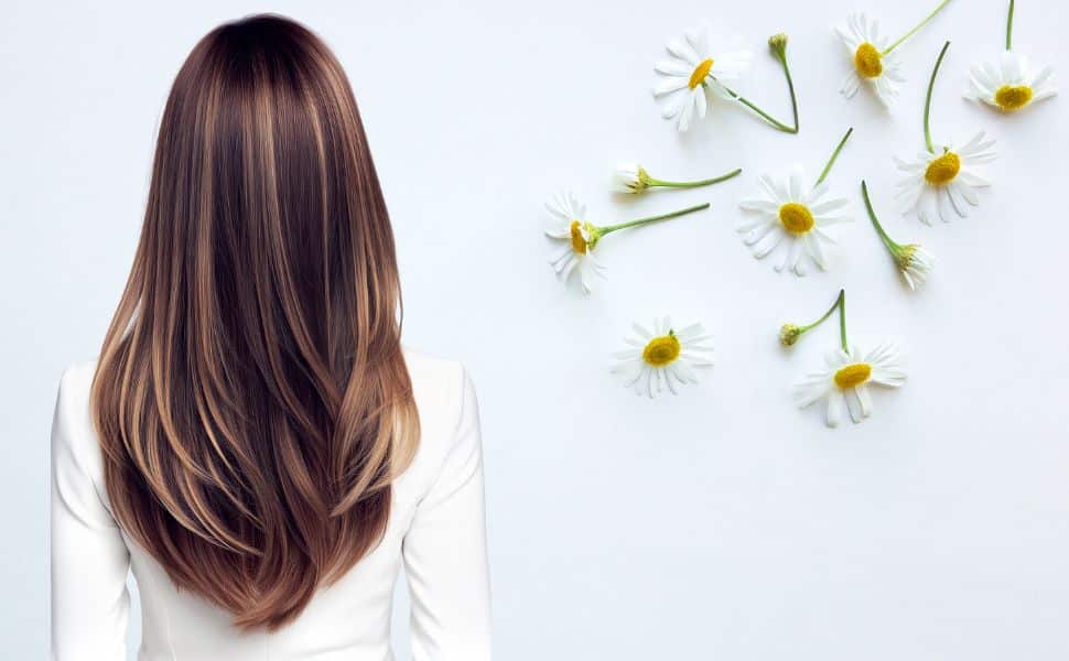 come schiarire i capelli con la camomilla