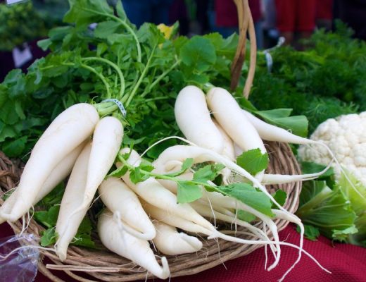 daikon ravanello giapponese, rapa cinese, carota bianca