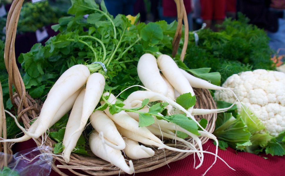 daikon ravanello giapponese, rapa cinese, carota bianca